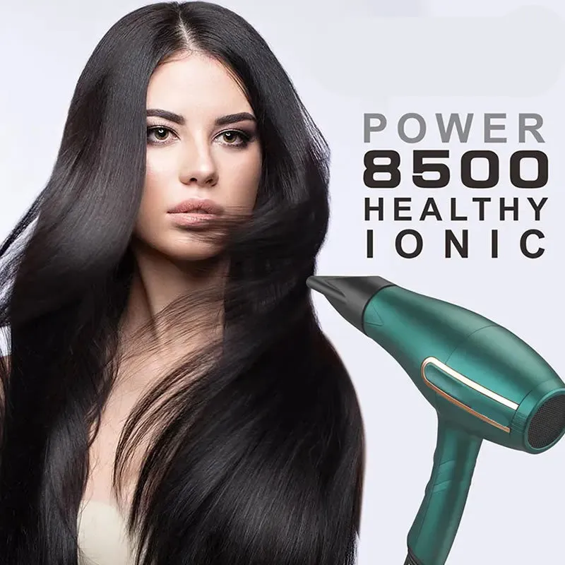 8500W Professional Salon Hair Styling Hair Dryer En-6009