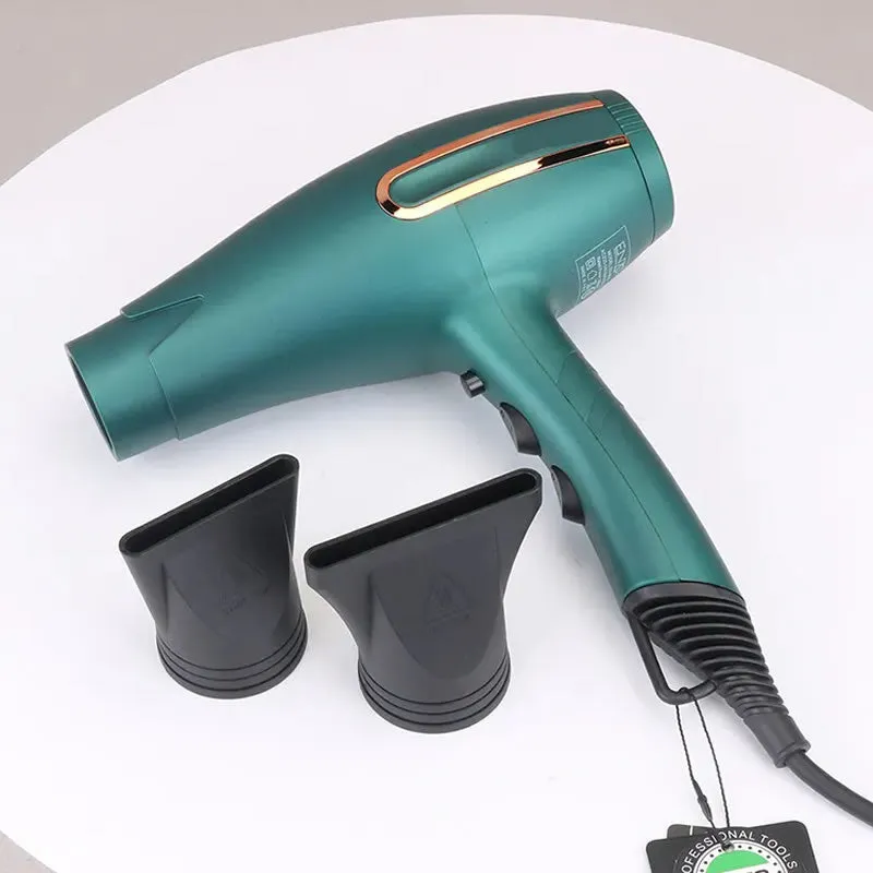 8500W Professional Salon Hair Styling Hair Dryer En-6009
