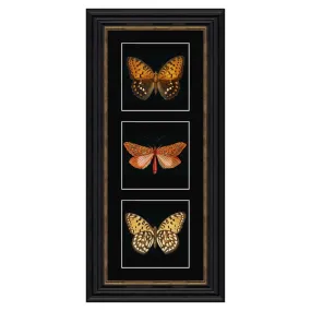 Artko 57cm 'Orange Butterflies' Frame Printed By Triptych