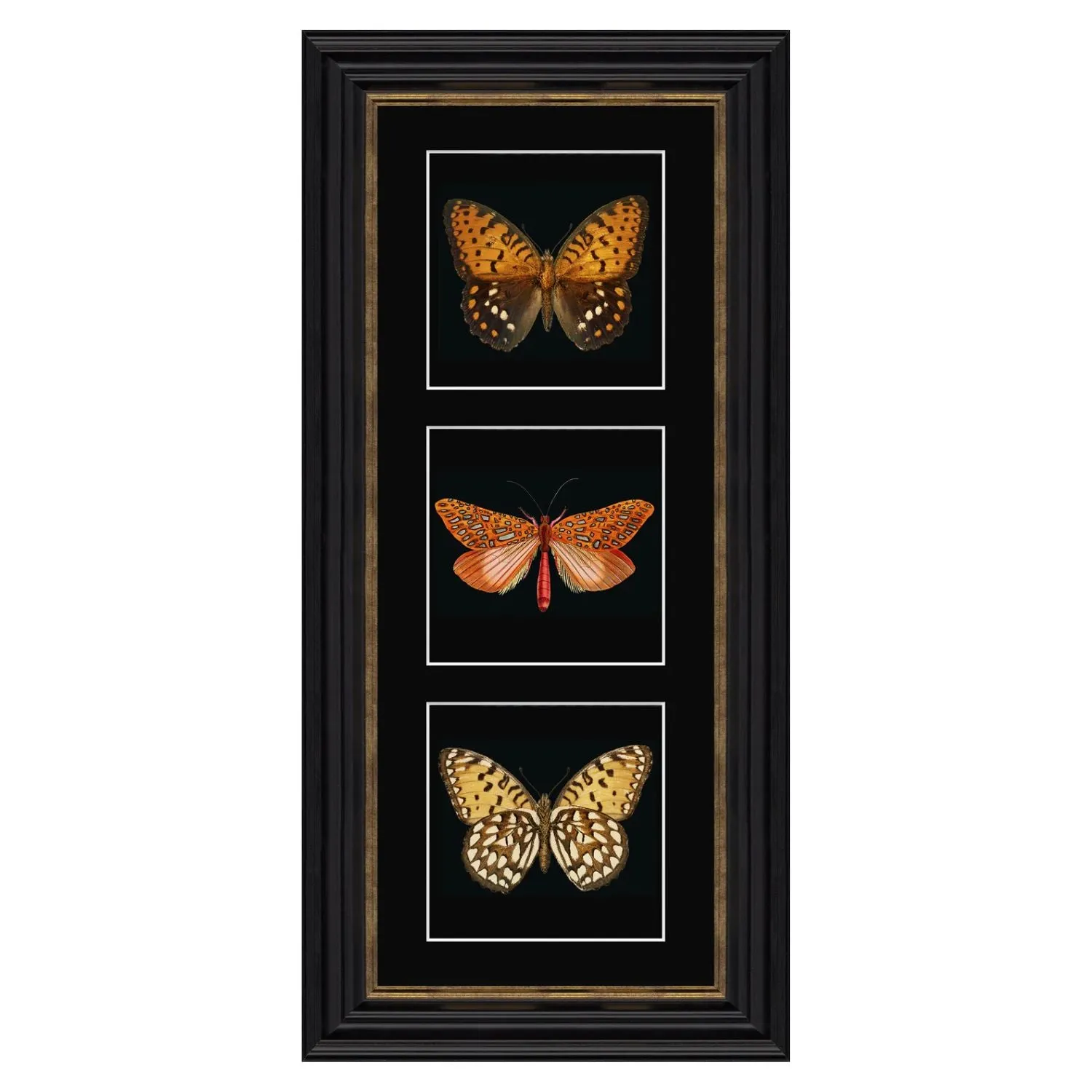 Artko 57cm 'Orange Butterflies' Frame Printed By Triptych
