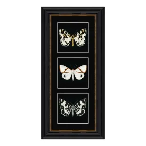 Artko 57cm 'White Butterflies' Frame Printed ByTriptych