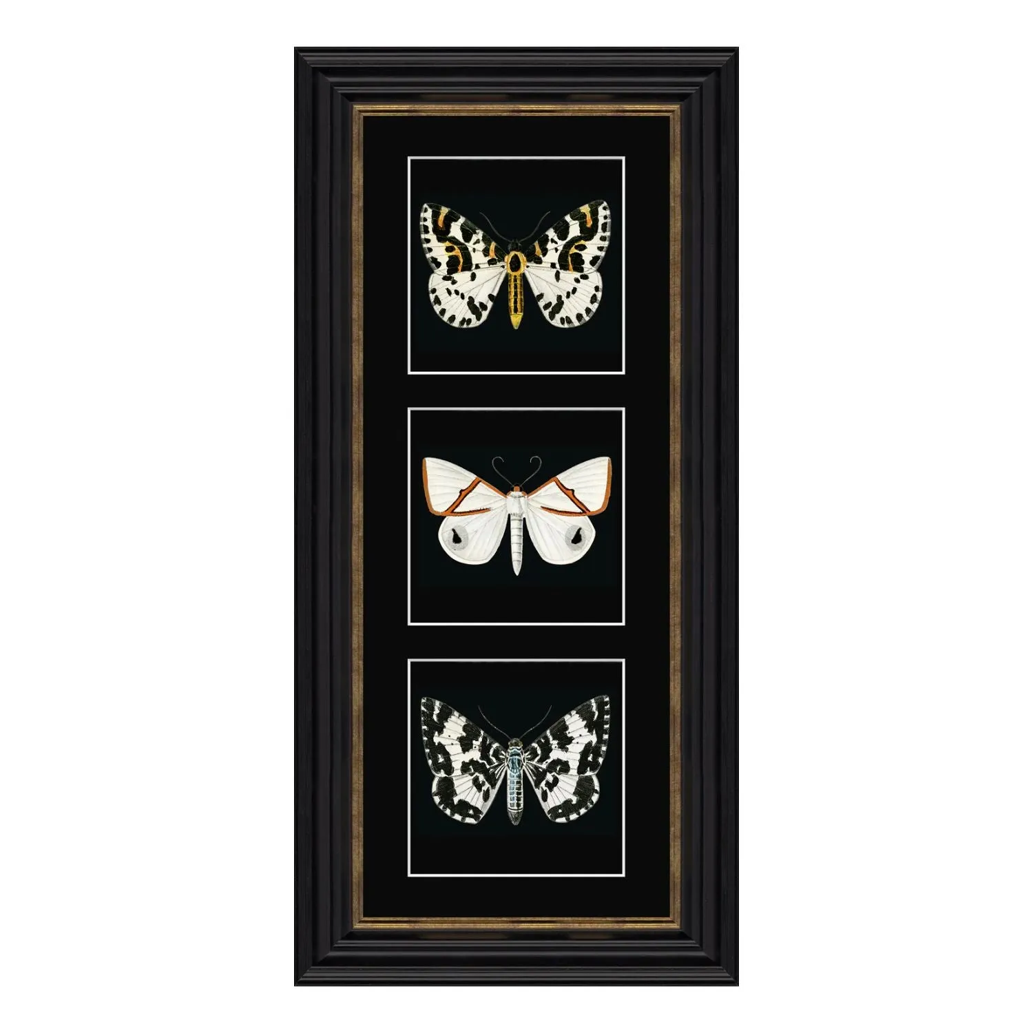 Artko 57cm 'White Butterflies' Frame Printed ByTriptych