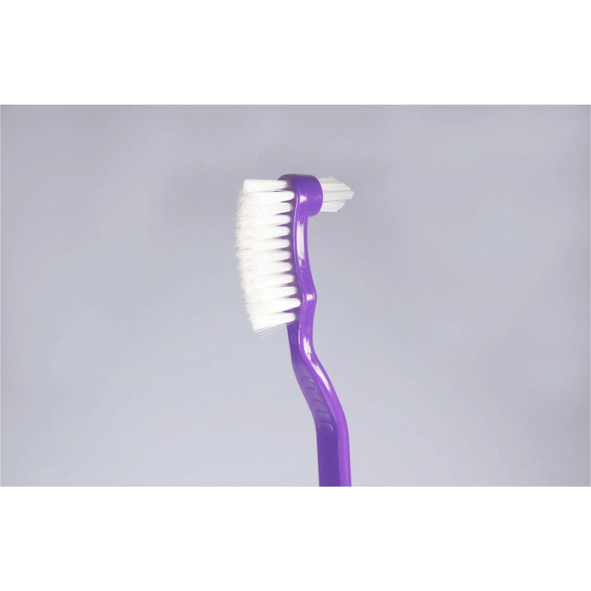 Denture Brush