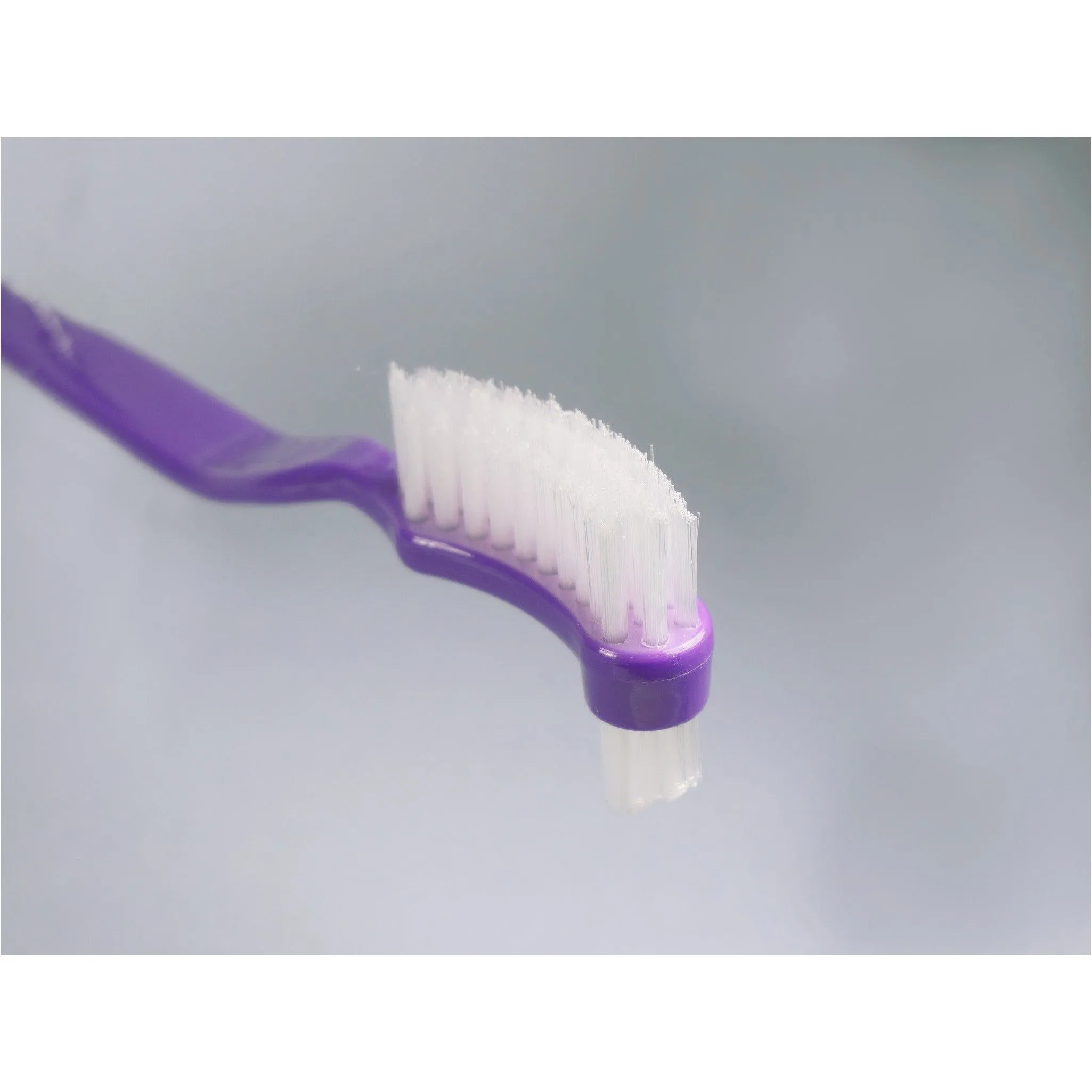 Denture Brush