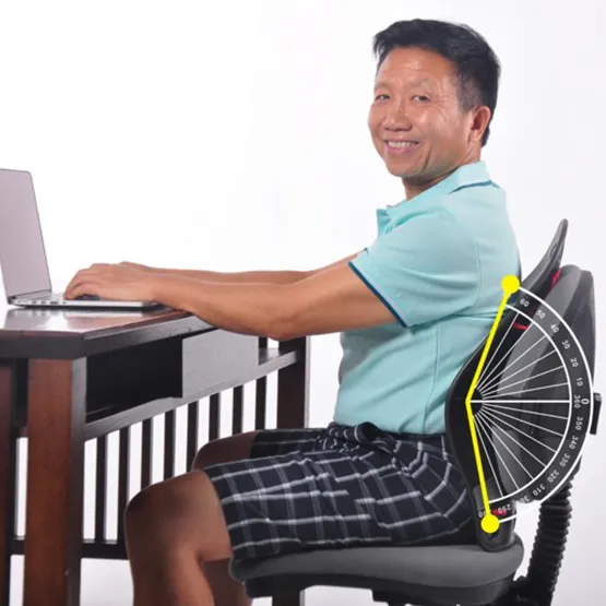 DR HO'S - HO-PBR-01 - Perfectback Rest