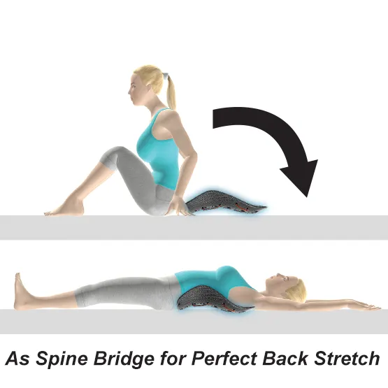 DR HO'S - HO-PBR-01 - Perfectback Rest