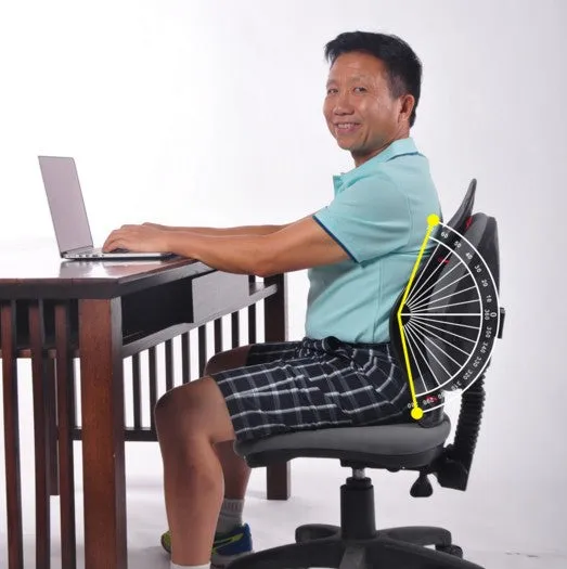 DR HO'S - HO-PBR-01 - Perfectback Rest