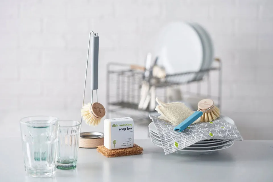 Ecoliving Dish Brush with Replaceable Head - Black