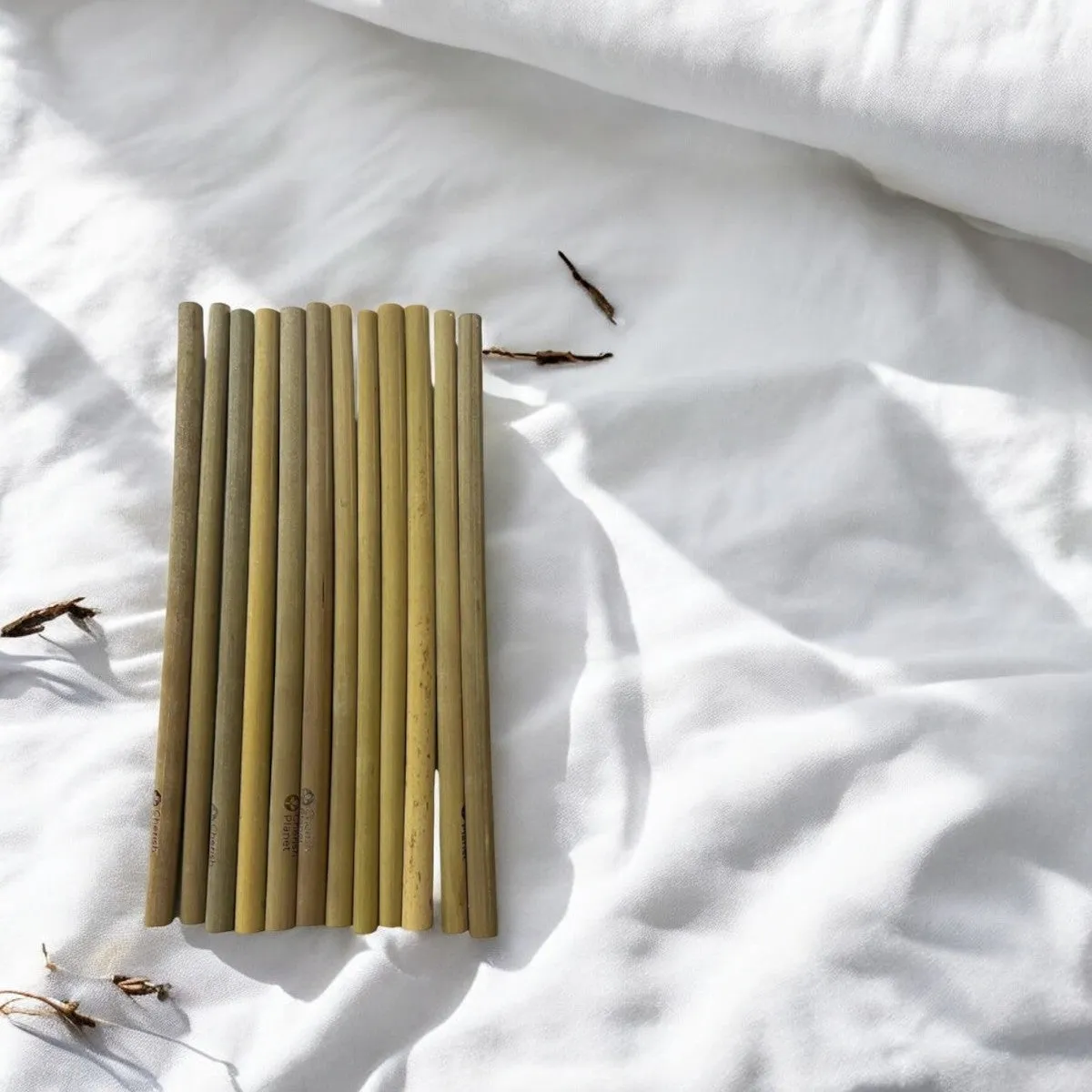 Large Organic Bamboo Reusable Drinking Straws - Set of 12