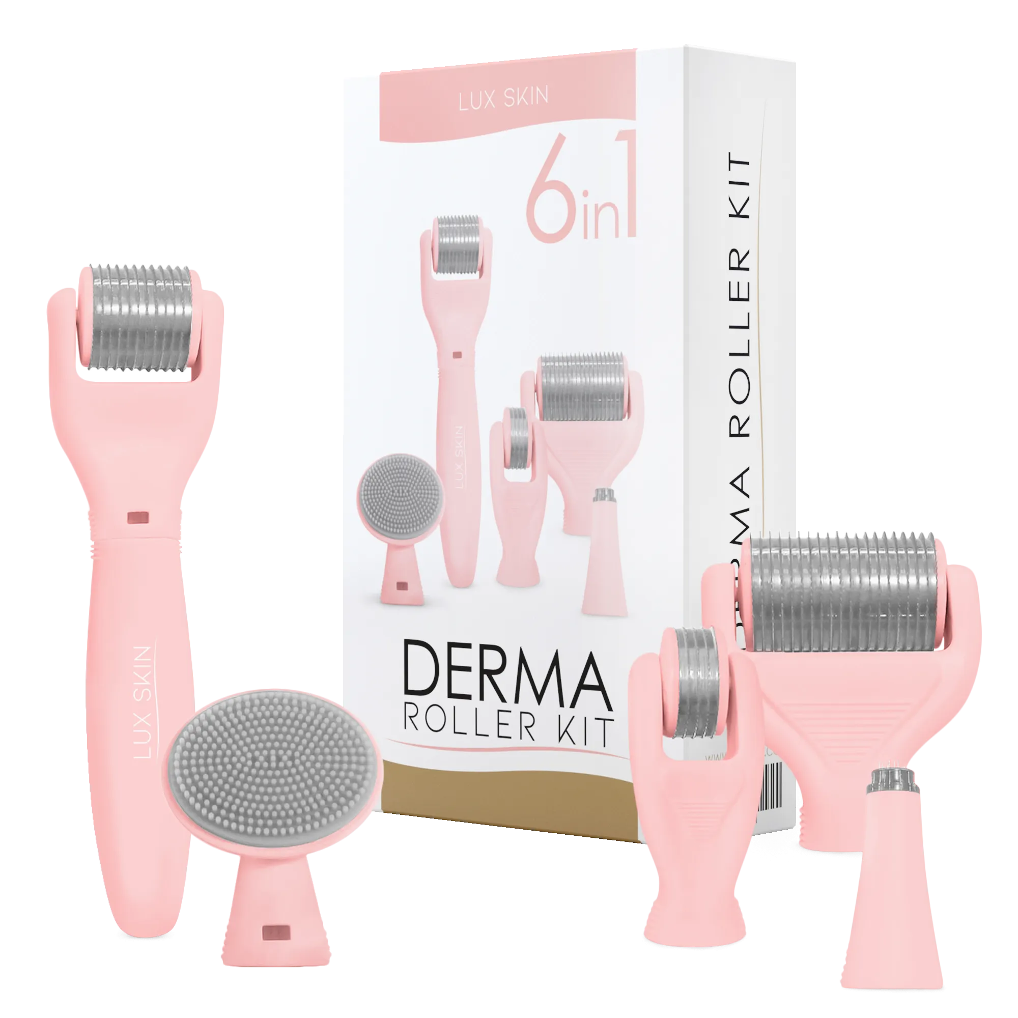 LUX SKIN® 6-In-1 Derma Roller Kit