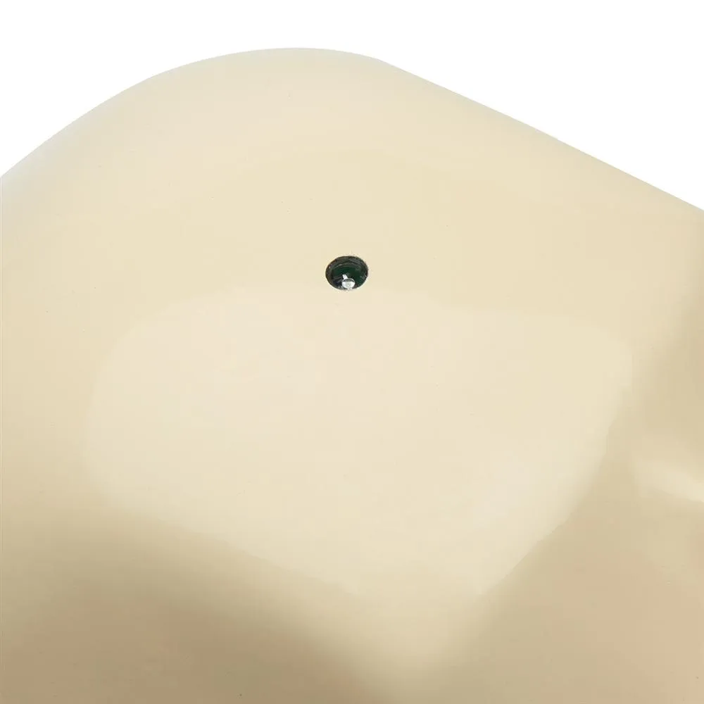 Oral Anesthesia Manikin Trainer with Light AND Sound Sensors