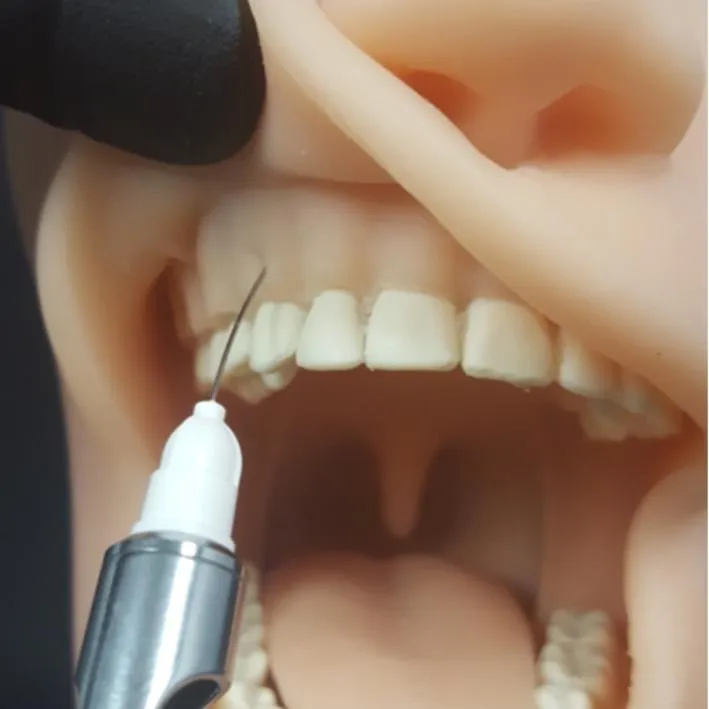 Oral Anesthesia Manikin Trainer with Light AND Sound Sensors
