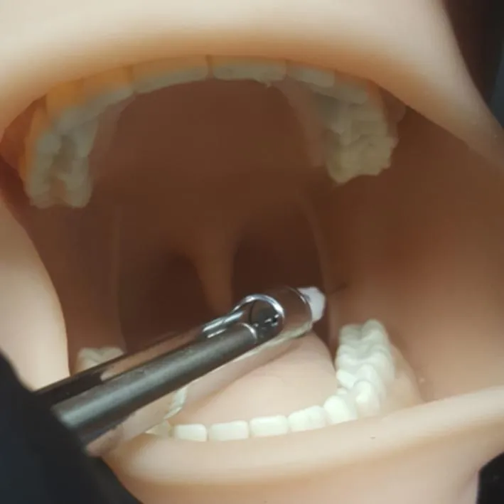 Oral Anesthesia Manikin Trainer with Light AND Sound Sensors
