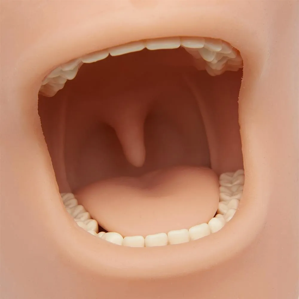 Oral Anesthesia Manikin Trainer with Light AND Sound Sensors