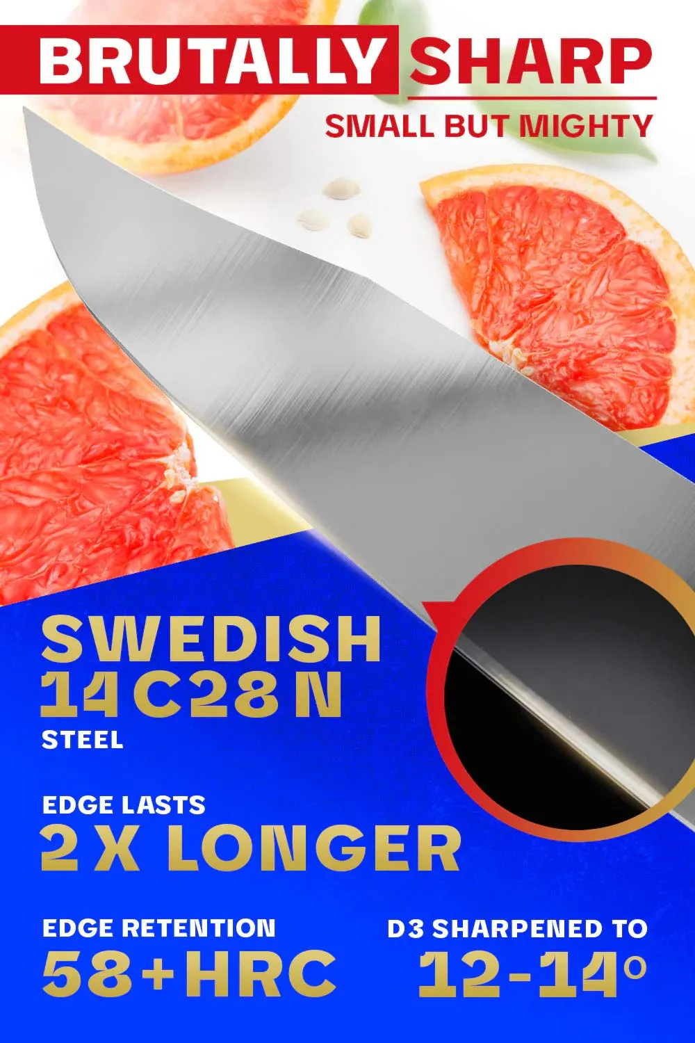Paring Knife 3.5" | Centurion Series | Dalstrong ©