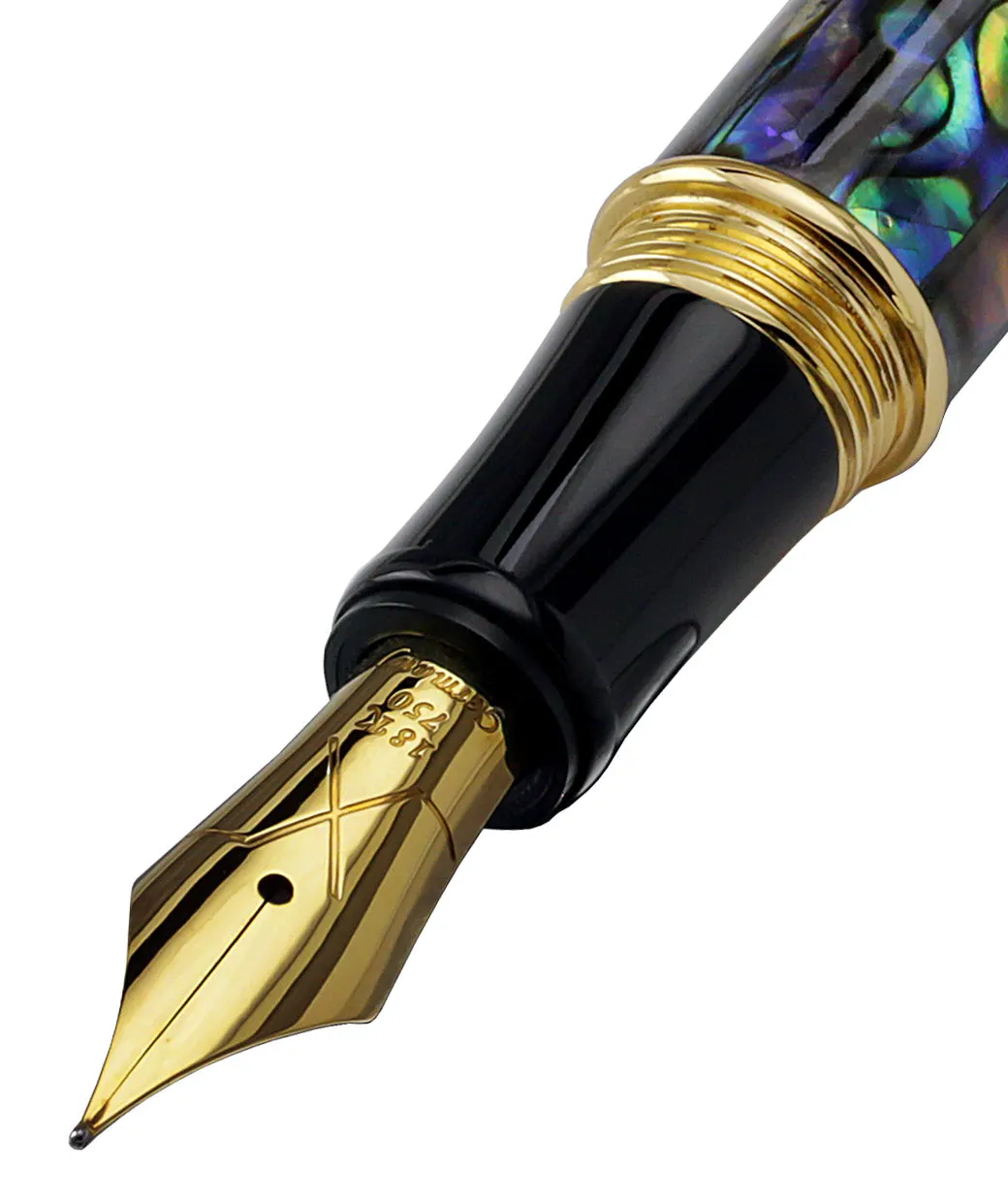 Xezo Maestro® Sea Shell FPG-SE
